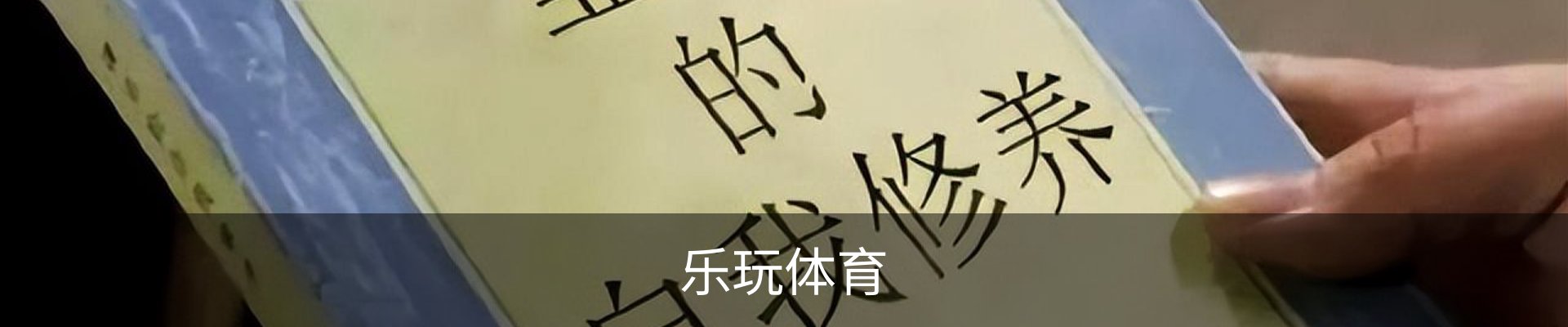 乐玩体育